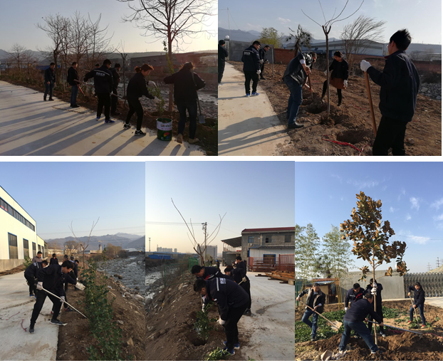 寶雞捷銳“迎春風，綠家園”植樹節(jié)(圖1)