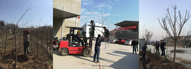 寶雞捷銳“迎春風，綠家園”植樹節(jié)(圖2)