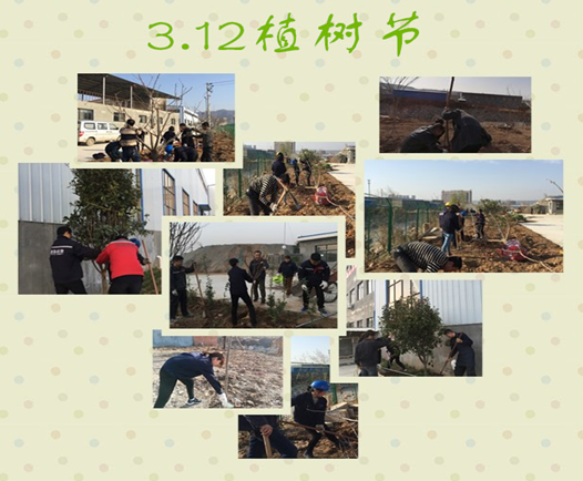寶雞捷銳“迎春風，綠家園”植樹節(jié)(圖3)